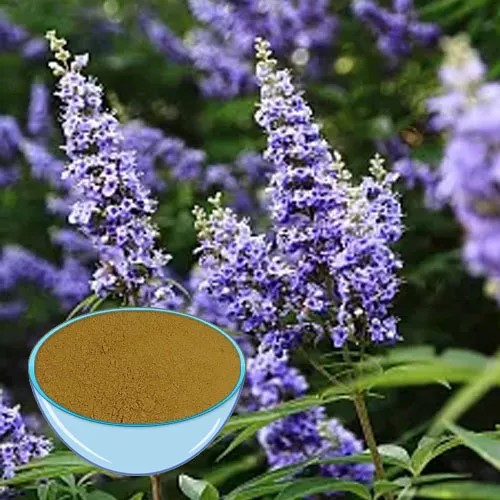 Die gesundheitlichen Vorteile von Vitex Agnus-Castus-Extrakt für Frauen