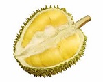 Durian Pulvers Angelegenheiten, die Aufmerksamkeit brauchen