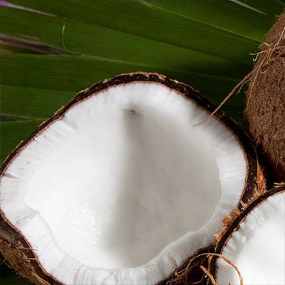 Kokosnußpulver