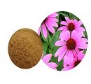 Echinacea Extract's Professional Einführung