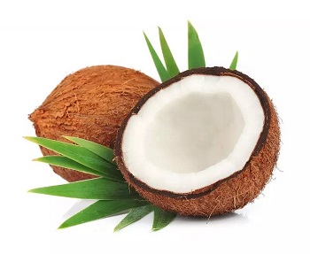 Ist Kokosnusspulver für Gewichtsverlust gut?