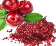 Die Vorteile des Cranberry-Pulvers für uns