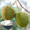 Durian-Pulver