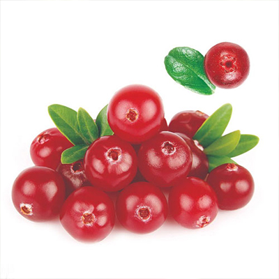 Cranberry-Pulver