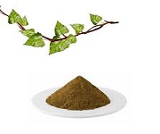 Efeu-Leaf-Extrakt-Wirksamkeitseinführung
